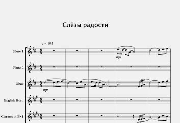 Слёзы Радости